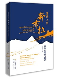 雪线上的奔布拉——我给孔繁森当翻译.jpg
